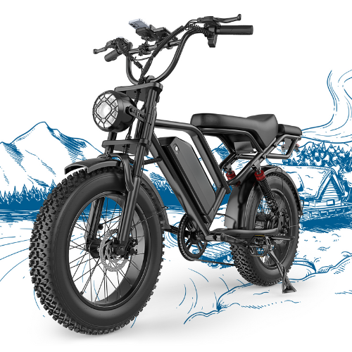 BK20 Fat Tire Electric Dirt Bike for Adults 48V 15.6AH Battery 750W Brushless Motor-US